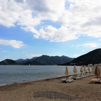 фото из отзыва ID 1953024