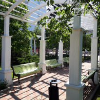 фото из отзыва ID 1953081