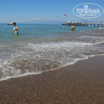 фото из отзыва ID 1953147