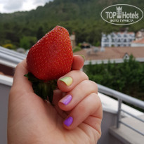 фото из отзыва ID 1953136