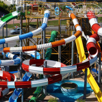 фото из отзыва ID 1953147