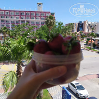 фото из отзыва ID 1953212