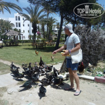 фото из отзыва ID 1953195