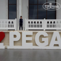 фото из отзыва ID 1953336