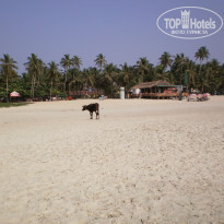 фото из отзыва ID 1953497