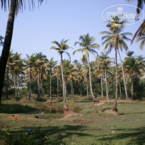 фото из отзыва ID 1953497