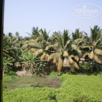 фото из отзыва ID 1953497