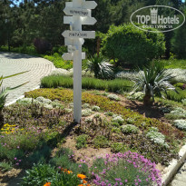 фото из отзыва ID 1953575