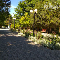 фото из отзыва ID 1953575