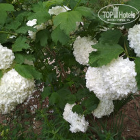 фото из отзыва ID 1953575