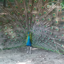 фото из отзыва ID 1953575