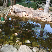 фото из отзыва ID 1953575