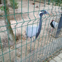 фото из отзыва ID 1953575