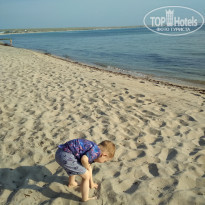 фото из отзыва ID 1953575