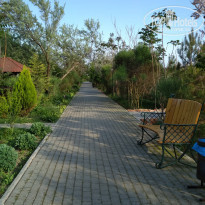 фото из отзыва ID 1953575