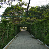 фото из отзыва ID 1953575