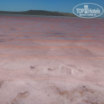 фото из отзыва ID 1953739