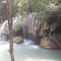 фото из отзыва ID 1953776