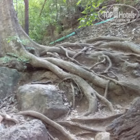 фото из отзыва ID 1953776