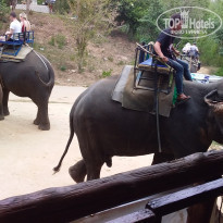 фото из отзыва ID 1953776