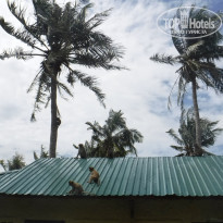 фото из отзыва ID 1953856