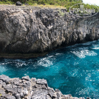 фото из отзыва ID 1953718