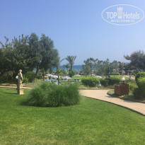 фото из отзыва ID 1953892