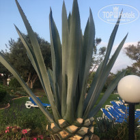 фото из отзыва ID 1953892