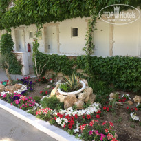 фото из отзыва ID 1953915