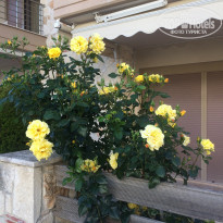 фото из отзыва ID 1953915