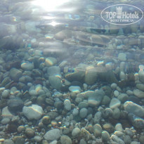 фото из отзыва ID 1953952