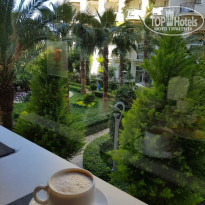 фото из отзыва ID 1954020