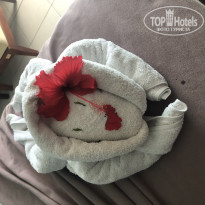 фото из отзыва ID 1954023