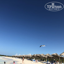 фото из отзыва ID 1954023