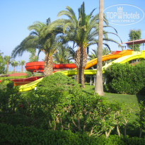 фото из отзыва ID 1954062