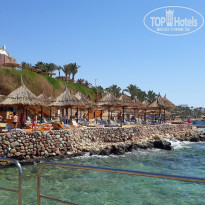 фото из отзыва ID 1954051