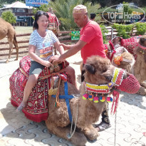 фото из отзыва ID 1954037