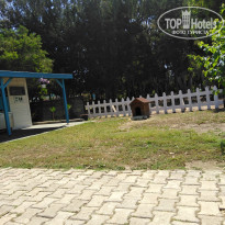 фото из отзыва ID 1954068