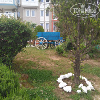 фото из отзыва ID 1954068