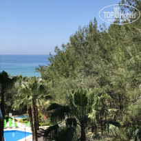 фото из отзыва ID 1954225