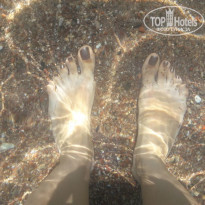 фото из отзыва ID 1954376