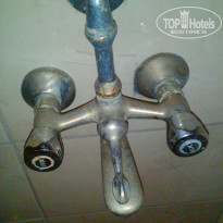 фото из отзыва ID 1954613