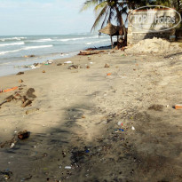 фото из отзыва ID 1954625