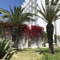 фото из отзыва ID 1954778