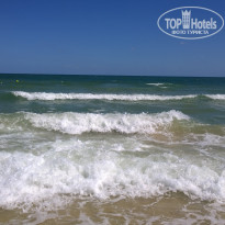 фото из отзыва ID 1954888