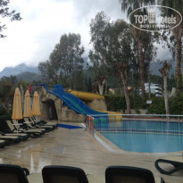 фото из отзыва ID 1954990