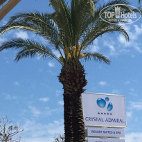 фото из отзыва ID 1954970