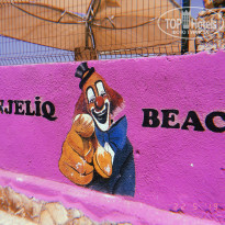 фото из отзыва ID 1955026