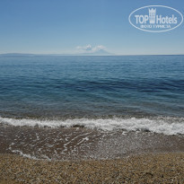 фото из отзыва ID 1954439