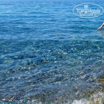 фото из отзыва ID 1955009